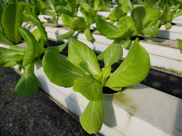 3133c77428e1a25d3a6c2c99d87d6bef.png 3133c77428e1a25d3a6c2c99d87d6bef.png