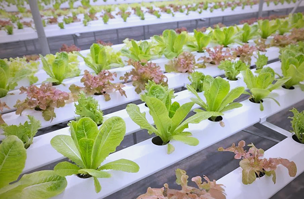 7fffd71a58b686f04355b13628c57d3b.png 7fffd71a58b686f04355b13628c57d3b.png