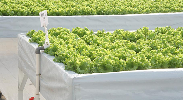 a33a808765b7ce92b81a83e5c3cd07b0.png a33a808765b7ce92b81a83e5c3cd07b0.png