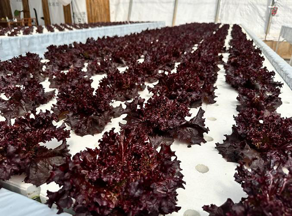 1546a970c7120031212426ae60337fe5.png 1546a970c7120031212426ae60337fe5.png